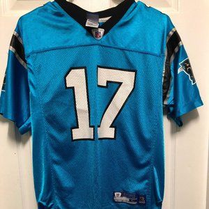 NFL Jake Delhomme Panthers Jersey